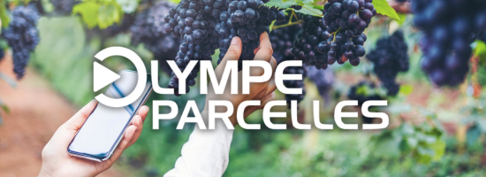 Olympe parcelles