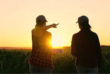 Deux agriculteurs pointant le soleil dans un champ