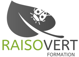 Logo Raisovert formation