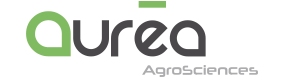 Logo Aurea