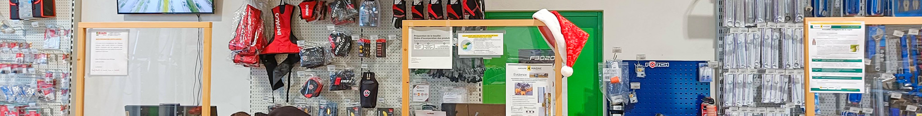 Femme regardant des outils de jardinage dans un magasin