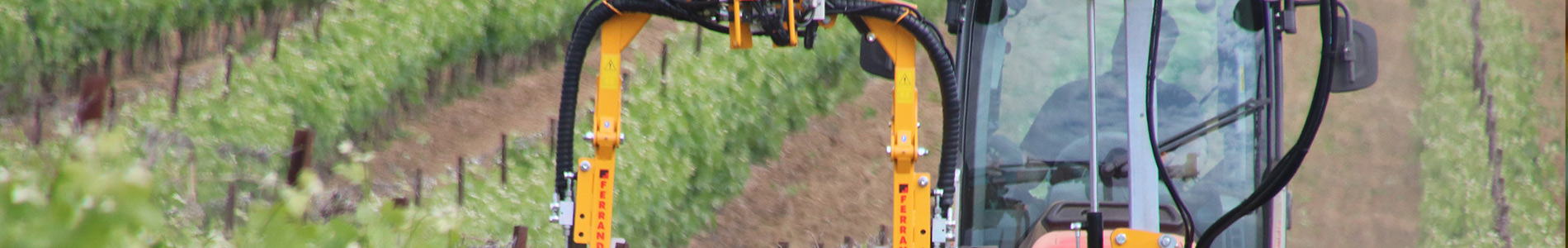 Tracteur dans des vignes CIAM MAGNE