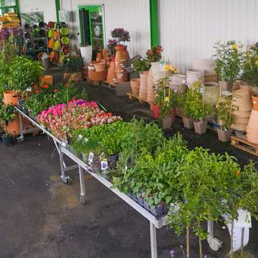 Jardinerie