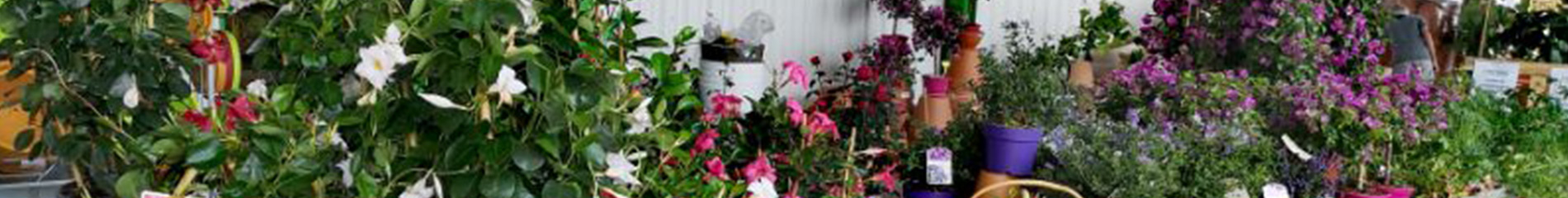 Zoom sur une personne en tenue avec gants de jardinage 