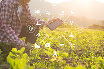 Agriculteur dans un champs qui tient un t&#233;l&#233;phone 